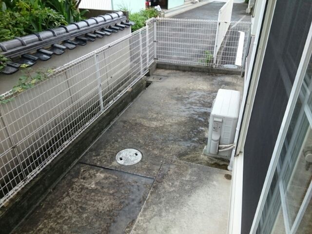 庭