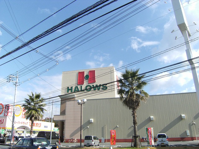 スーパー　ハローズ津高店（スーパー）まで1600m