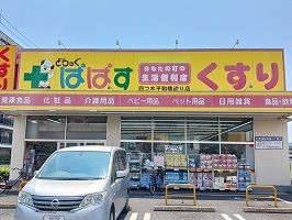 ドラックストア　どらっぐぱぱす（ドラッグストア）まで330m