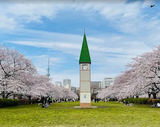 公園　猿江恩賜公園（公園）まで815m