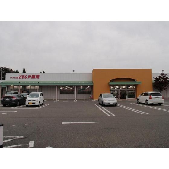 ドラックストア　とをしや薬局三郷店（ドラッグストア）まで1116m