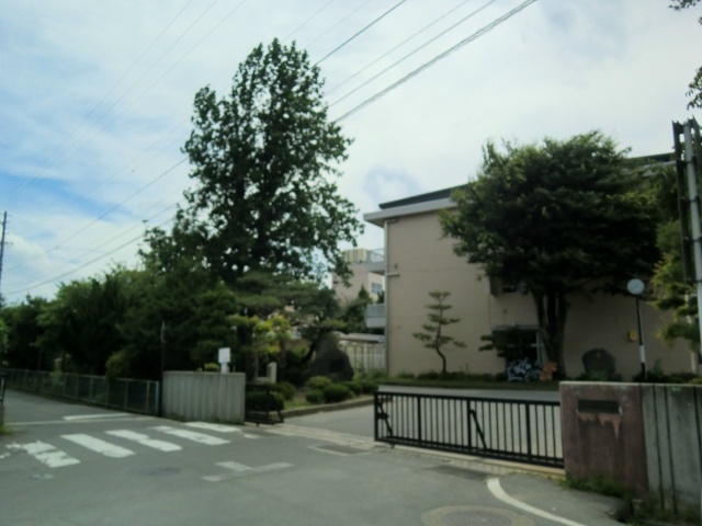 小学校　松本市立芳川小学校（小学校）まで1253m