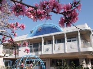 幼稚園・保育園　とうりん幼稚園（幼稚園・保育園）まで240m
