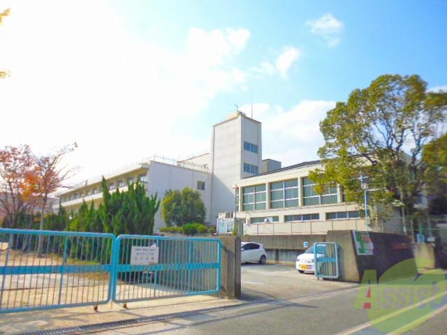 小学校　豊川南小学校（小学校）まで800m