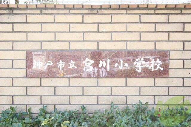 小学校　神戸市立宮川小学校（小学校）まで329m