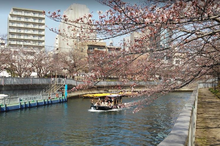 公園　臨海公園（公園）まで387m