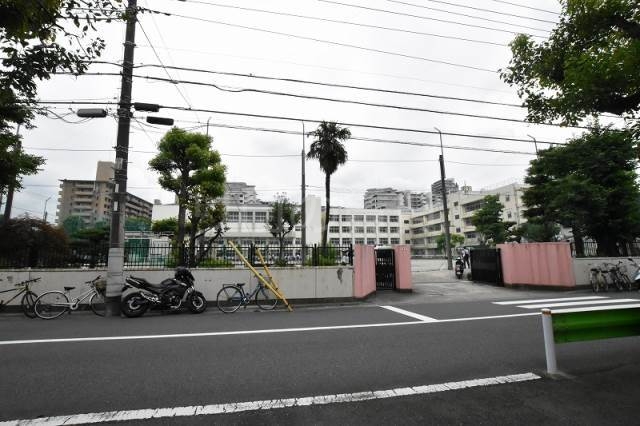 中学校　矢口中学校（中学校）まで229m