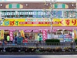 ドラックストア　どらっぐぱぱす下赤塚店（ドラッグストア）まで394m