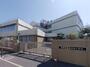 小学校　世田谷区立若林小学校（小学校）まで598m