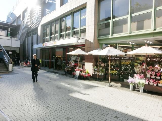 スーパー　東急ストア（スーパー）まで648m