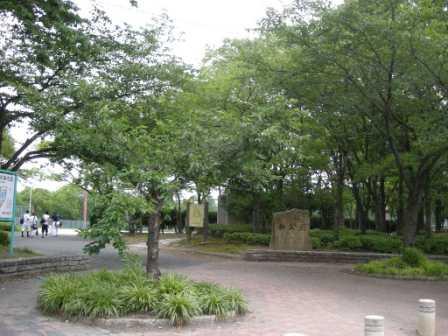 公園　楠公園（公園）まで518m