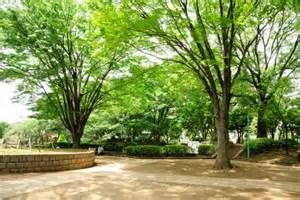 公園　浦和常盤公園（公園）まで400m