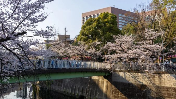 公園　江戸川公園（公園）まで265m