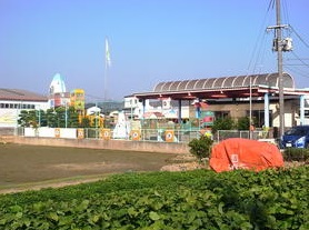 幼稚園・保育園　中島保育園（幼稚園・保育園）まで1462m