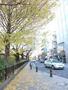 その他　風の散歩道（その他）まで300m