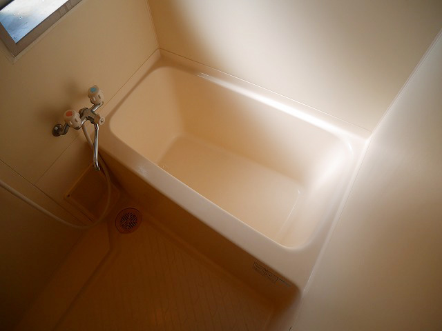 ダイナコートエスタディオニューズの風呂写真