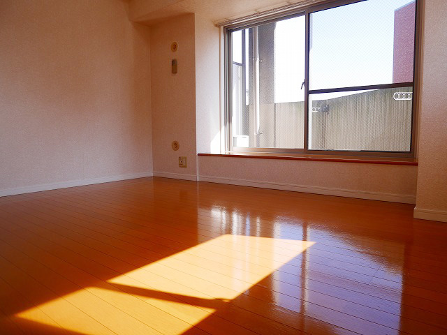 ダイナコートエスタディオニューズの居間写真