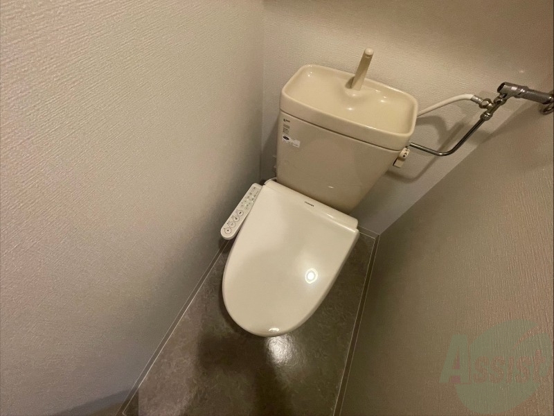 トイレ　清潔感があり安心して使用できるトイレになっておりました。