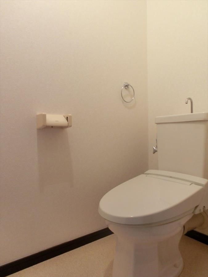 ライオンズマンションサンフラワーのトイレ写真