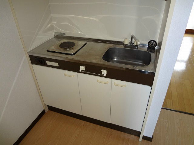 ハウスグラストン2のキッチン写真