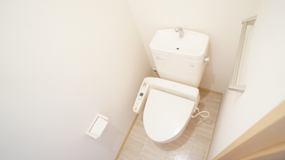 メゾンドールIIのトイレ写真