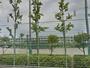 小学校　浜松市立豊岡小学校（小学校）まで510m