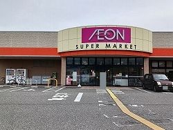 スーパー　イオン　山の下店（スーパー）まで500m