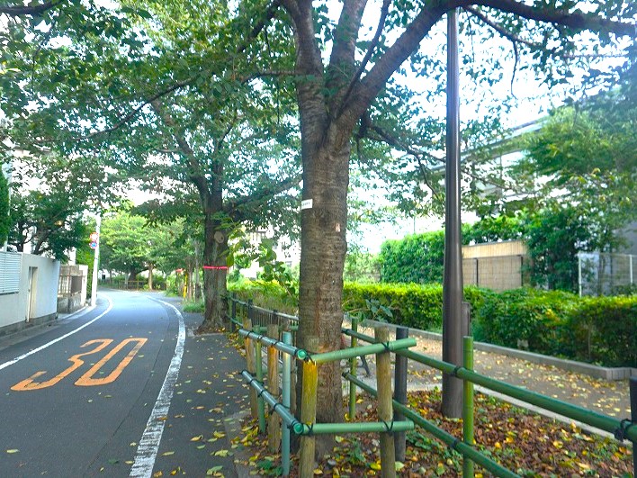 【世田谷区下馬のアパートの公園】