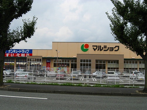 スーパー　マルショク一枝店（スーパー）まで1250m