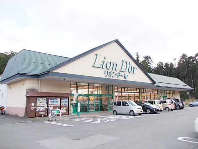 スーパー　リオン・ドール鬼怒川店（スーパー）まで900m
