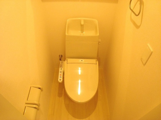 トイレ　他号室のお写真です
