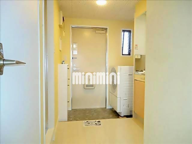 玄関　同一物件、別部屋の写真です。