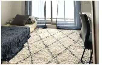 居室・リビング　※家具絨毯等は事例です