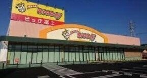 スーパー　エブリィビッグデー入野店（スーパー）まで1375m