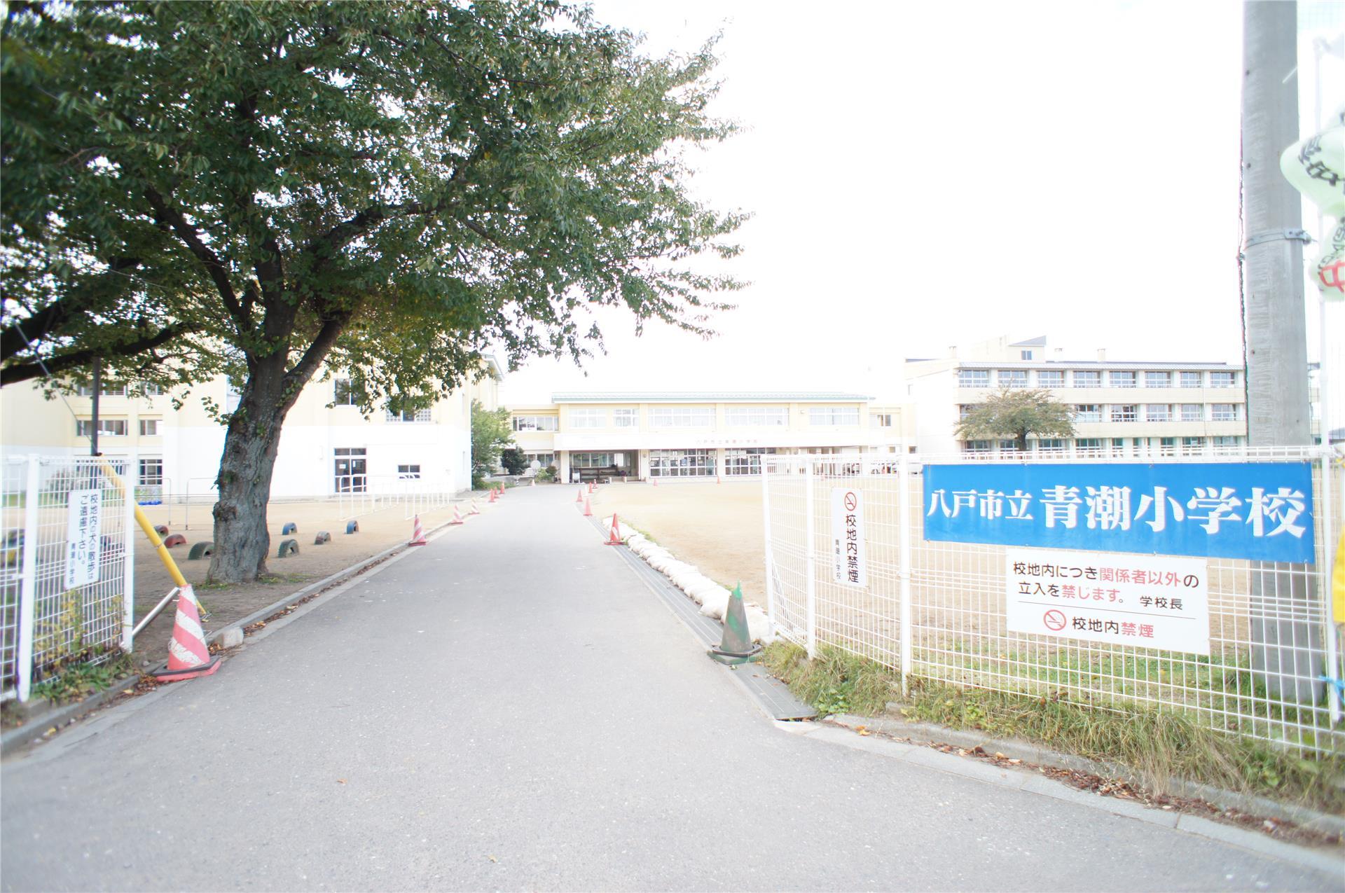 小学校　八戸市立青潮小学校（小学校）まで897m