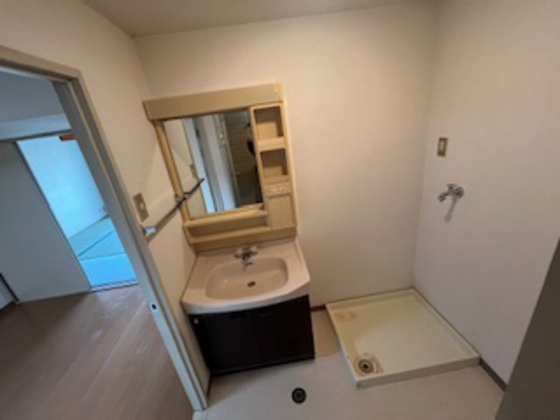 洗面設備　別の部屋の写真