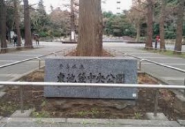 公園　東池袋中央公園（公園）まで1299m