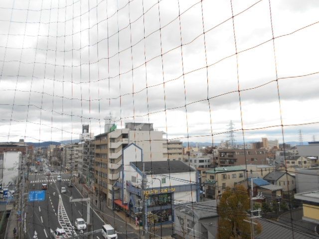 エストレーラのその他写真
