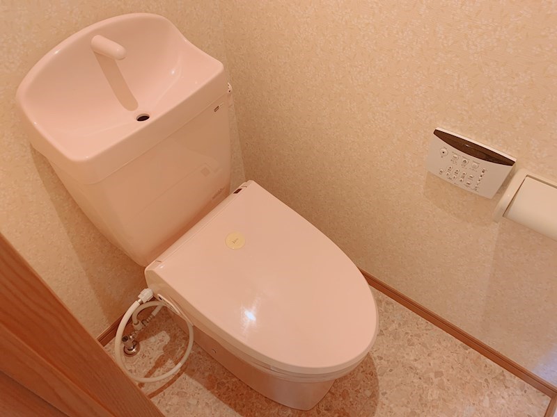 ナウリヴィエール1のトイレ写真