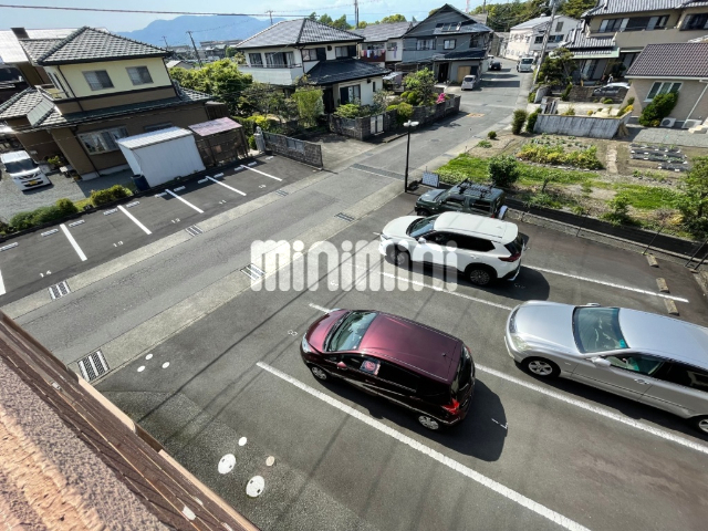 プリムローズのその他写真