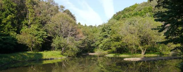 【座間市入谷西のマンションの公園】