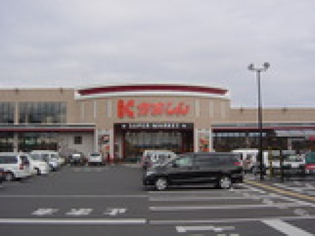 スーパー　かましん自治医大店（スーパー）まで384m