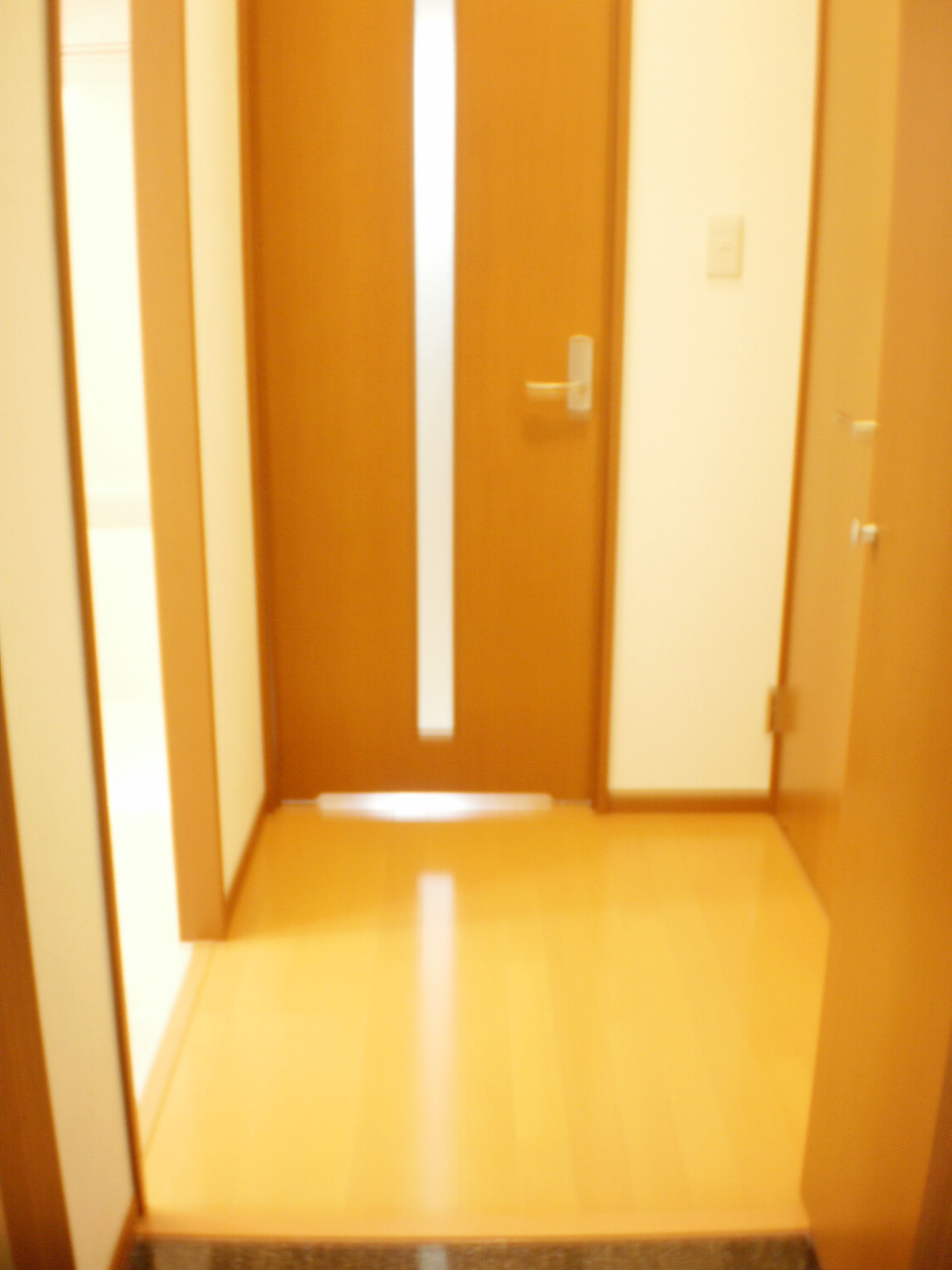 地下鉄谷町線 長原駅 徒歩12分 3階建 築14年の玄関写真
