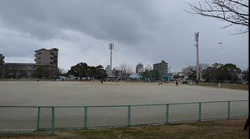 【ブルースターの公園】