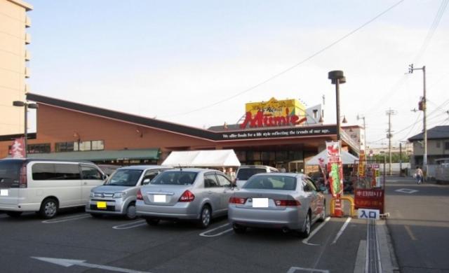 スーパー　ダイレックス高松中央店（スーパー）まで746m