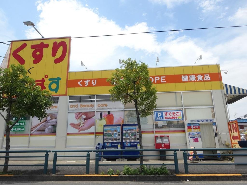 ドラックストア　どらっぐぱぱす島根店（ドラッグストア）まで220m