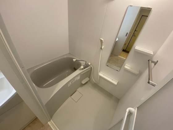 バス・シャワールーム　※別部屋の写真です