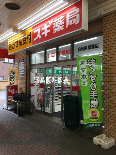 ドラックストア　スギドラッグ 向河原駅前店（ドラッグストア）まで679m