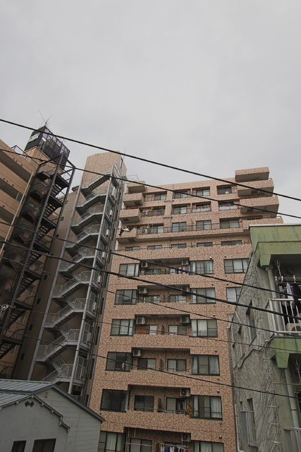 眺望　撮影日：２０２６年３月１８日