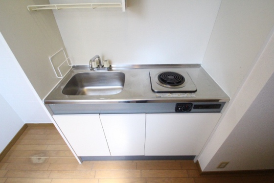 キッチン　※別号室の写真です。